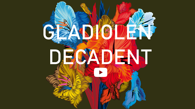 GLADIOOLDECADENT-2021 800 px nw.png